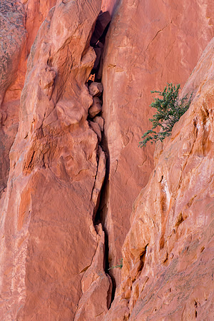 "Garden of the Gods", "Colorado Springs", Colorado, rocks, landscape, west