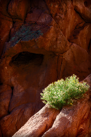 "Garden of the Gods", "Colorado Springs", Colorado, rocks, landscape, west