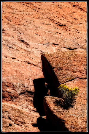 "Garden of the Gods", "Colorado Springs", Colorado, rocks, landscape, west