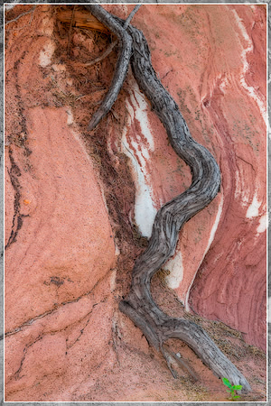 "Garden of the Gods", "Colorado Springs", Colorado, rocks, landscape, west