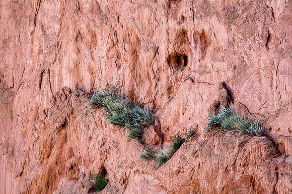 Colorado, "Colorado Springs", "Garden of the Gods", landscape, rocks, west