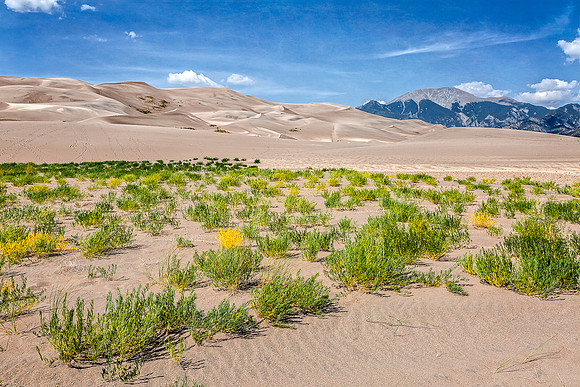 Alamosa, Colorado, "Great Sand Dunes National Park", "National Park", "San Luis Valley", dunes, landscape, sand, scenic