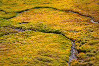 Colorado, "Rocky Mountain National Park", "Estes Park", rockies, landscape, patterns