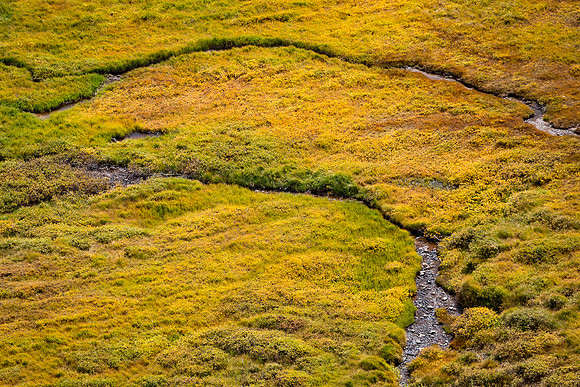 Colorado, "Rocky Mountain National Park", "Estes Park", rockies, landscape, patterns