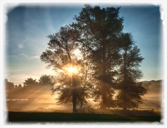 20130517 [C] Ellicott City MD - Turf Valley [HDR (280-282) wHDREfexPro(BrightonAzaleas)] v1-Edit [wStarEfex]-Edit v1-Edit