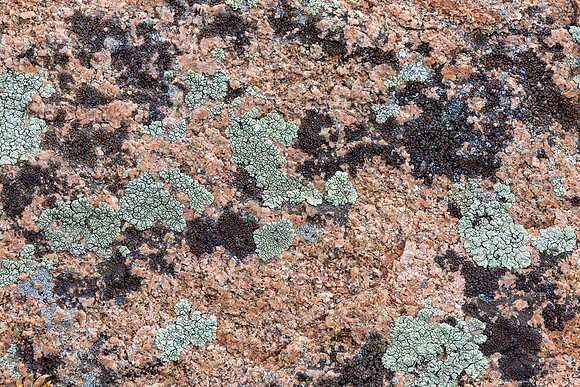 Colorado, "Rocky Mountain National Park", "Estes Park", rockies, landscape, patterns