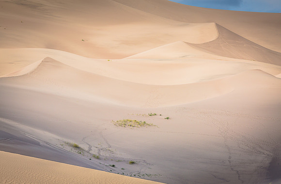 Alamosa, Colorado, "Great Sand Dunes National Park", "National Park", "San Luis Valley", dunes, landscape, sand, scenic