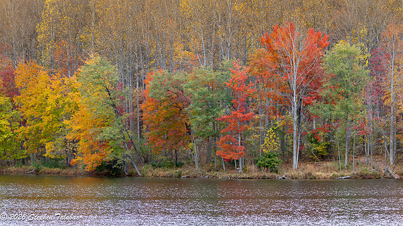 Centennial Lake Fall Color-9