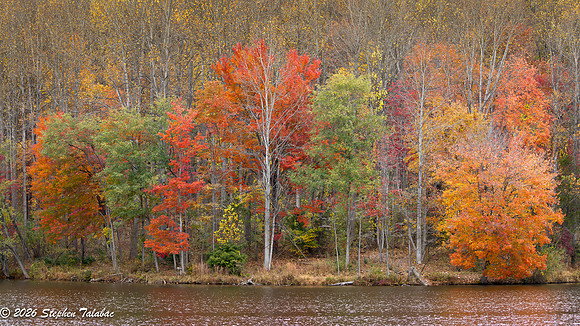Centennial Lake Fall Color-8