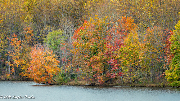 Centennial Lake Fall Color-5