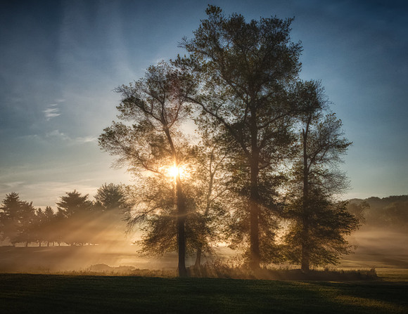 20130517 [C] Ellicott City MD - Turf Valley [HDR (280-282) wHDREfexPro(BrightonAzaleas)] v1-Edit [wStarEfex]-Edit