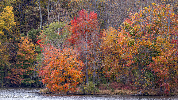 Centennial Lake Fall Color-7