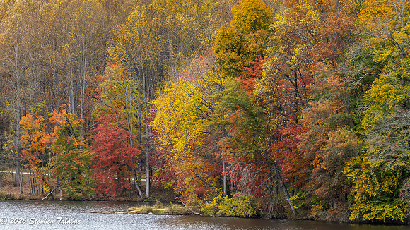 Centennial Lake Fall Color-6