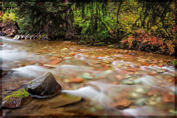Colorado, Aspen, "West Elk Mountains", mountains, fall, "fall color", trees, stream