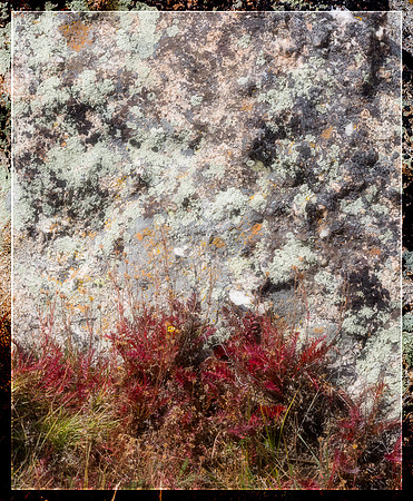 Colorado, "Rocky Mountain National Park", "Estes Park", rockies, landscape, patterns