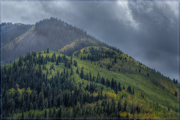 Colorado, Aspen, "West Elk Mountains", mountains, fall, "fall color", trees, stream