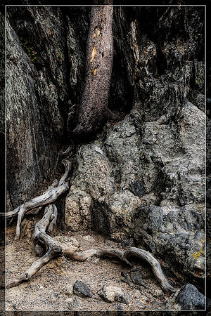 Colorado, "Estes Park", "Rocky Mountain National Park", landscape, patterns, rockies