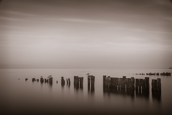20130225 [C] North Beach MD 009-2