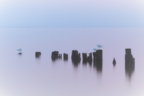 20130225 [C] North Beach MD 014-Edit v2