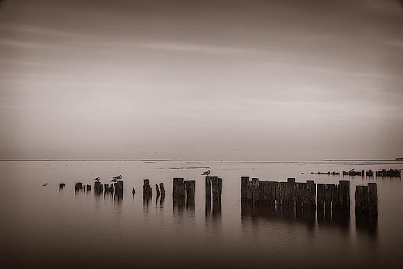 20130225 [C] North Beach MD 009-Edit[PosterEdges(OR DryBrush OR Watercolor)]