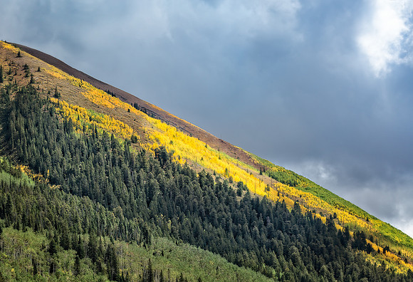 Colorado, Aspen, "West Elk Mountains", mountains, fall, "fall color", trees, stream
