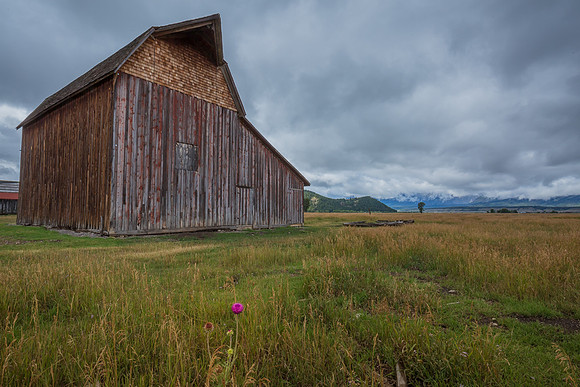 "Grand Teton", Tetons, "Mormon Row", "John Moulton", barn, building, Mormon, homestead