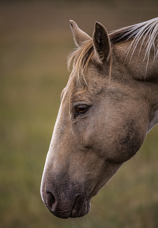 20140831 [C] VACATION 2014 - Grand Teton NP 092