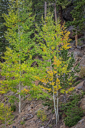 Colorado, "Estes Park", "Rocky Mountain National Park", landscape, patterns, rockies