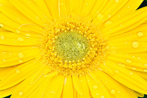 Color Form Texture - 20April2024-5