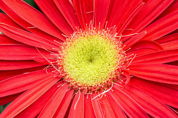 Color Form Texture - 20April2024-3