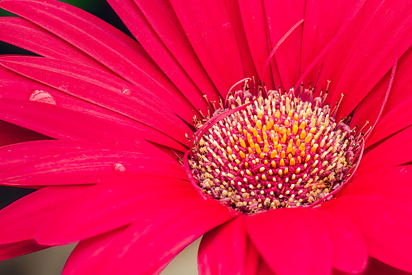 Color Form Texture - 20April2024-4