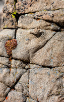 Colorado, "Rocky Mountain National Park", "Estes Park", rockies, landscape, patterns
