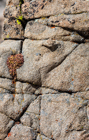 Colorado, "Rocky Mountain National Park", "Estes Park", rockies, landscape, patterns