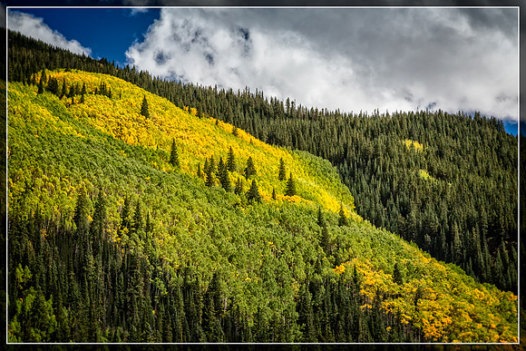 Colorado, Aspen, "West Elk Mountains", mountains, fall, "fall color", trees, stream