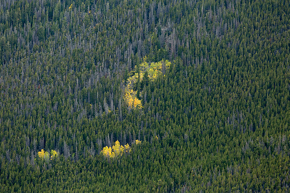 Colorado, "Estes Park", "Rocky Mountain National Park", landscape, patterns, rockies