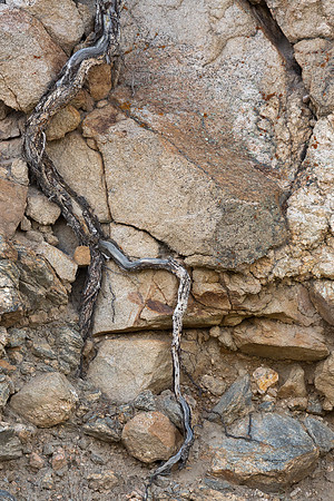 Colorado, "Estes Park", "Rocky Mountain National Park", landscape, patterns, rockies