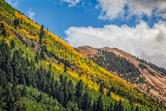 Colorado, Aspen, "West Elk Mountains", mountains, fall, "fall color", trees, stream