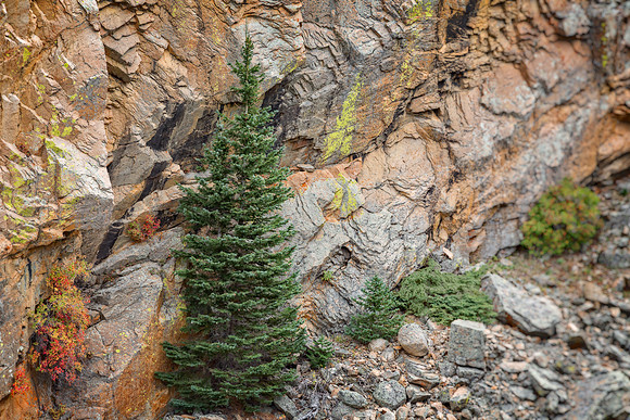 Colorado, "Rocky Mountain National Park", "Bear Lake", Alberta Falls", waterfall, RMNP, water, "Estes Park" fall, autumn, aspen"long exposure"