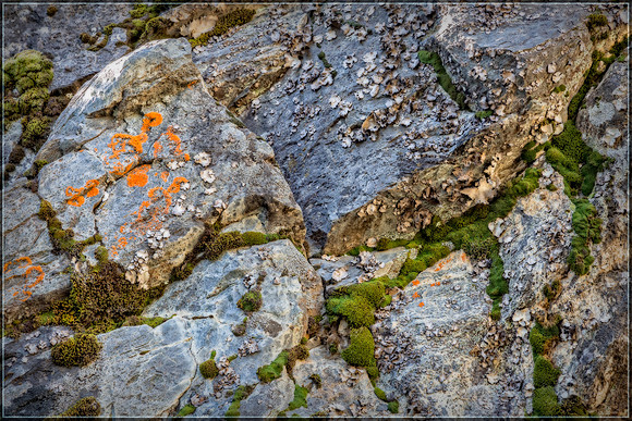 "Bear Lake", Colorado, "Estes Park", rock, Moss, RMNP, "Rocky Mountain National Park", 'aspen", fall, lake, "fall color", sunset