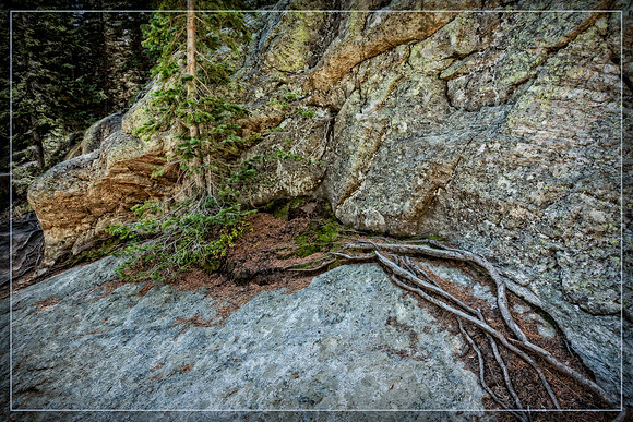 "Bear Lake", Colorado, "Estes Park", rock, Moss, RMNP, "Rocky Mountain National Park", 'aspen", fall, lake, "fall color", sunset