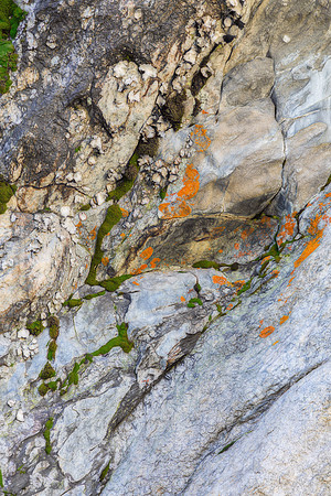"Bear Lake", Colorado, "Estes Park", rock, Moss, RMNP, "Rocky Mountain National Park", 'aspen", fall, lake, "fall color", sunset