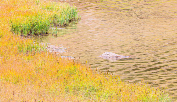 Colorado, mountain, lake, RMNP, "Rocky Mountain National Park", "Lake Granby", Grand Lake", "Trail Ridge Road", fall, aspen, trees, rugged, moose, "national park", Rockies, "Rocky Mountains", "Estes P