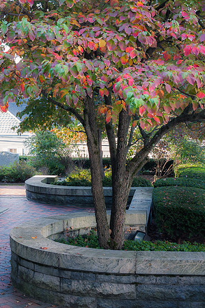 20131005 [C] Ellicott City MD - WWPhotowalk 007