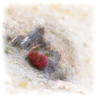 Colorado, "Estes Park", "Rocky Mountain National Park", landscape, patterns, rockies
