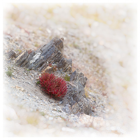 Colorado, "Estes Park", "Rocky Mountain National Park", landscape, patterns, rockies