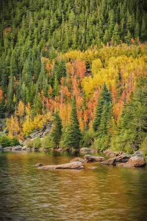 "Bear Lake", Colorado, "Estes Park", rock, Moss, RMNP, "Rocky Mountain National Park", 'aspen", fall, lake, "fall color", sunset