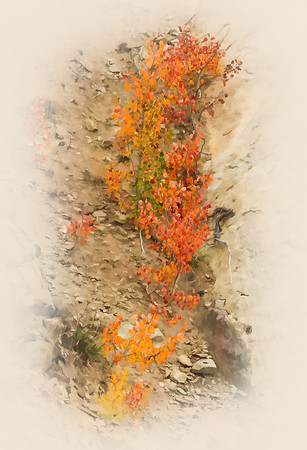 Colorado, mountain, lake, RMNP, "Rocky Mountain National Park", "Lake Granby", Grand Lake", "Trail Ridge Road", fall, aspen, trees, rugged, moose, "national park", Rockies, "Rocky Mountains", "Estes P