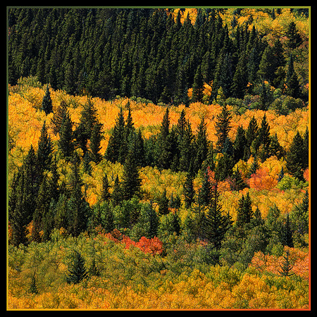 Colorado, fall, mountains, "Longs Peak", "Highway 7", aspen, "peak to peak", "peak-to-peak", "peak-to-peak highway", scenic