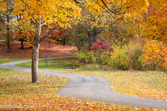 HoCo Parks Fall-22
