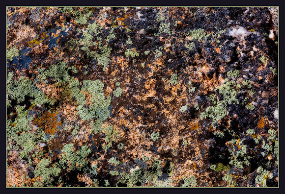 Colorado, "Rocky Mountain National Park", "Estes Park", rockies, landscape, patterns
